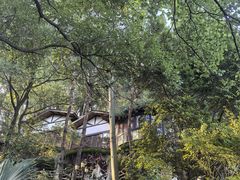 -巴倒烫陆派重庆火锅(南山店)
