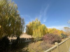 -党河风情线国家水利风景区