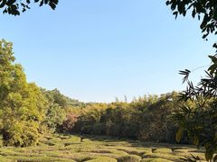 -大屏嶂森林公园
