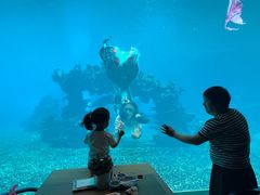 -涛·海底餐厅·美人鱼·自助餐·海底隧道(三亚海棠湾洲际度假酒店)