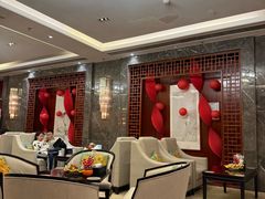 -郑州新郑国际机场T2航站楼-贵宾厅B区