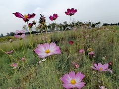 -汉长安城未央宫国家考古遗址公园