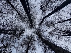 -重庆彩云湖湿地公园