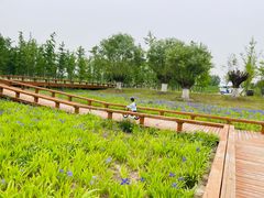 -汉长安城未央宫国家考古遗址公园