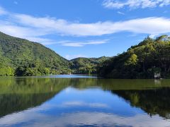 -深圳仙湖植物园