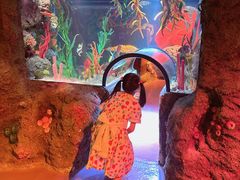 -沈阳海洋探索中心