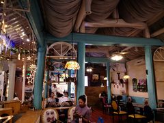 -猫小院猫主题咖啡厅(北锣店)