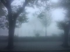 -庐山风景区花径公园