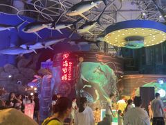 -烟台海昌鲸鲨海洋公园