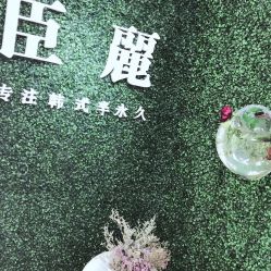 -臣丽纹眉品牌连锁