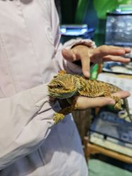 -酷嗒动物文化乐园(cutezoo西溪乐天城店)