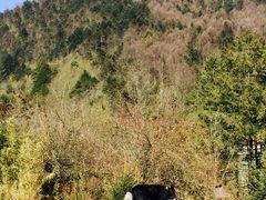 -石棉县孟获城