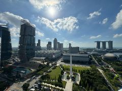 -新加坡瑞士史丹福酒店