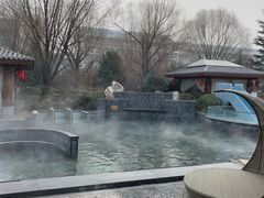 -西安国际创新人才交流中心•药浴温泉