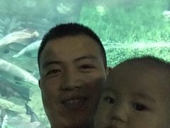 -泉城欧乐堡海洋极地世界