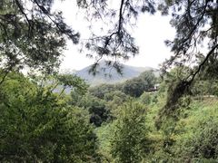 -波尔登森林公园