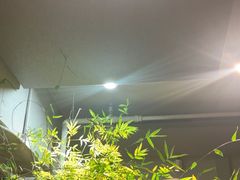 -本处·素食·融合料理(南油店)