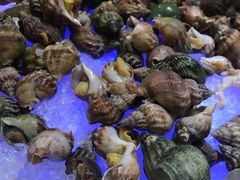 -济南香格里拉·咖啡泉自助餐厅