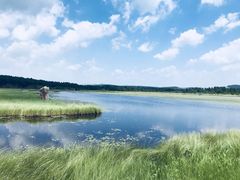 -塞罕坝国家级自然保护区