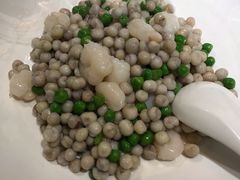 -席家花园(巨鹿花园店)