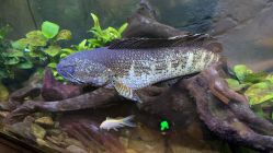 -Zoolung Zoolung动物主题公园(海信广场店)