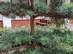 -西南交通大学(九里校区)