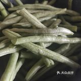 这个假期在家的时间实在是长了点