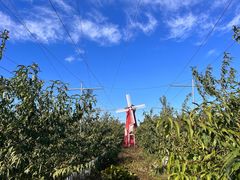 -意大利农场度假村