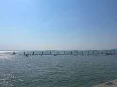 -苏州东太湖生态园