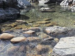 -石台牯牛降景区