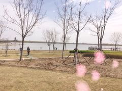 -武清南湖绿博园