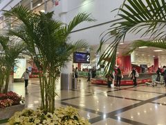-厦门高崎国际机场-T3航站楼