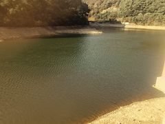 -桃花岭景区