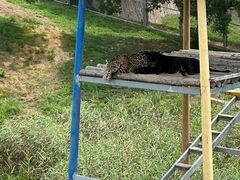 -西霞口神雕山野生动物世界