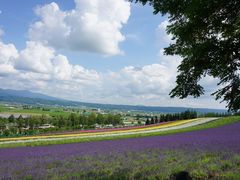 -富田农场