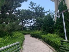 -莫内艺术岛海景咖啡