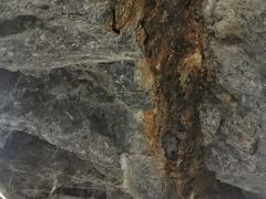 -遂昌金矿国家矿山公园