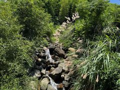 -东白山