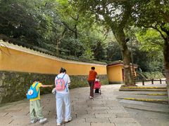 -普陀山慧济禅寺