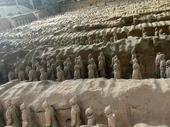 -秦始皇帝陵博物院(兵马俑)