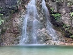 -南海湾森林生态园