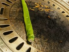 -灼·九寸钉自助烤肉(谷德茂店)