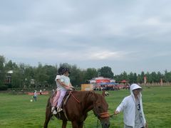 -武汉紫薇都市田园