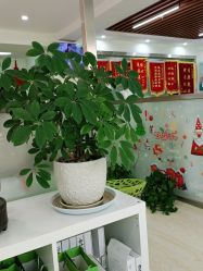 -清颜堂专业祛痘