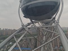 -海合安武汉极地海洋公园