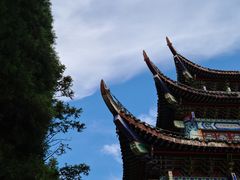 -武陵山森林公园