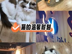 -白兔子密室(长寿路店)