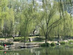-南长河公园