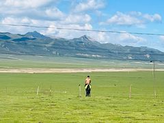 -祁连山草原