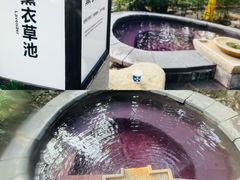 -融汇温泉